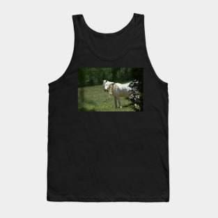 Wild Horse Tank Top